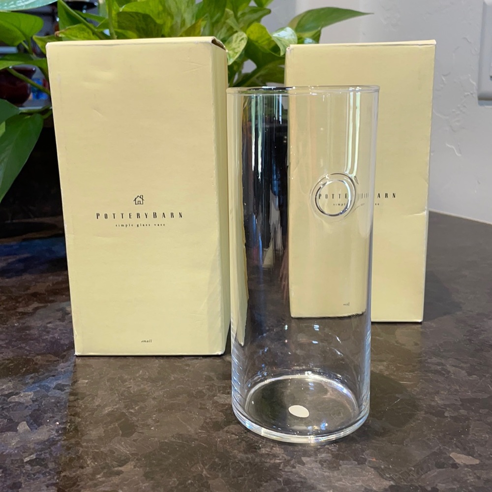 TWO-NEW in BOX-Pottery Barn Glass Hanging Vase